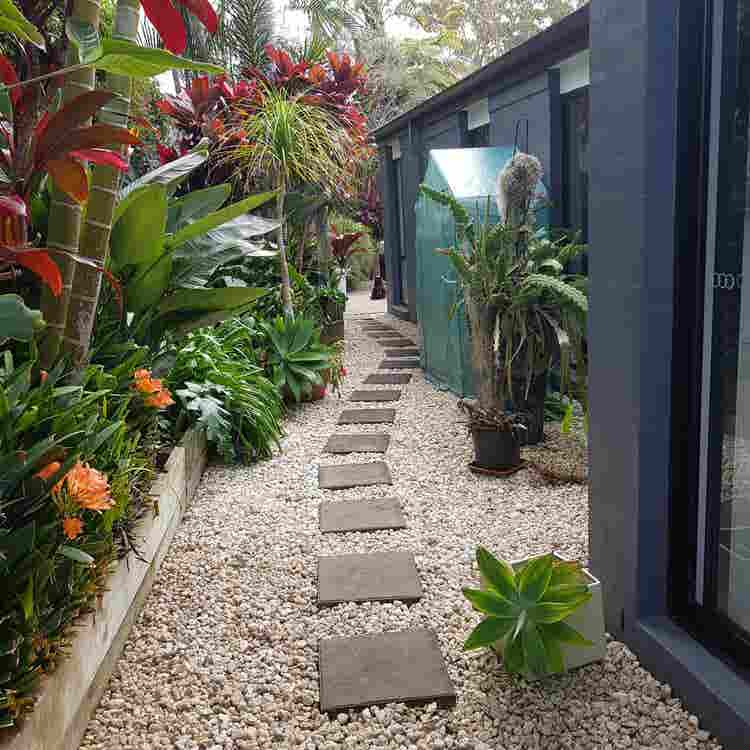 4 bedroom house at Bilgola Plateau