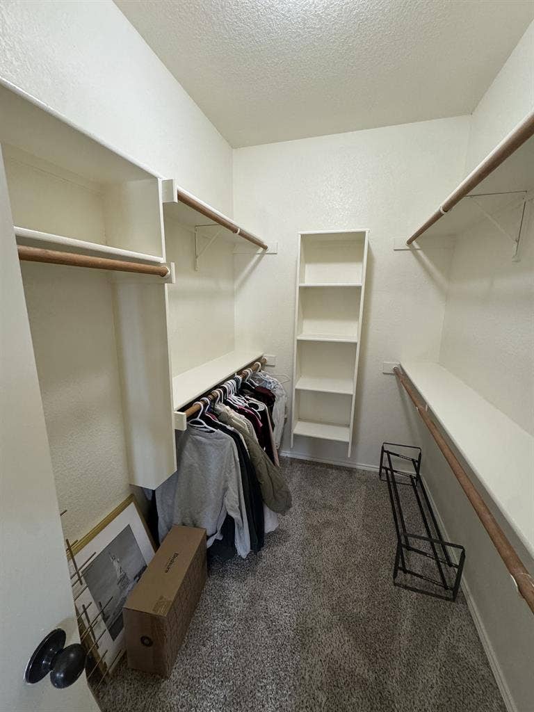Female Roommates