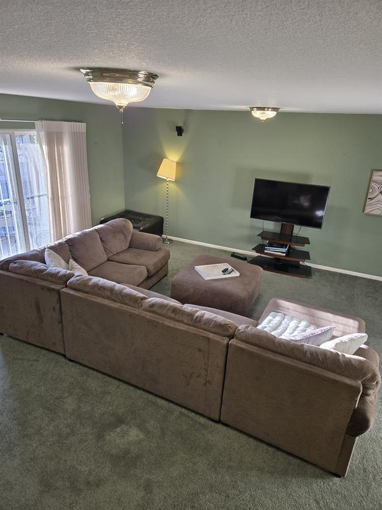 Female wanted to rent garden level