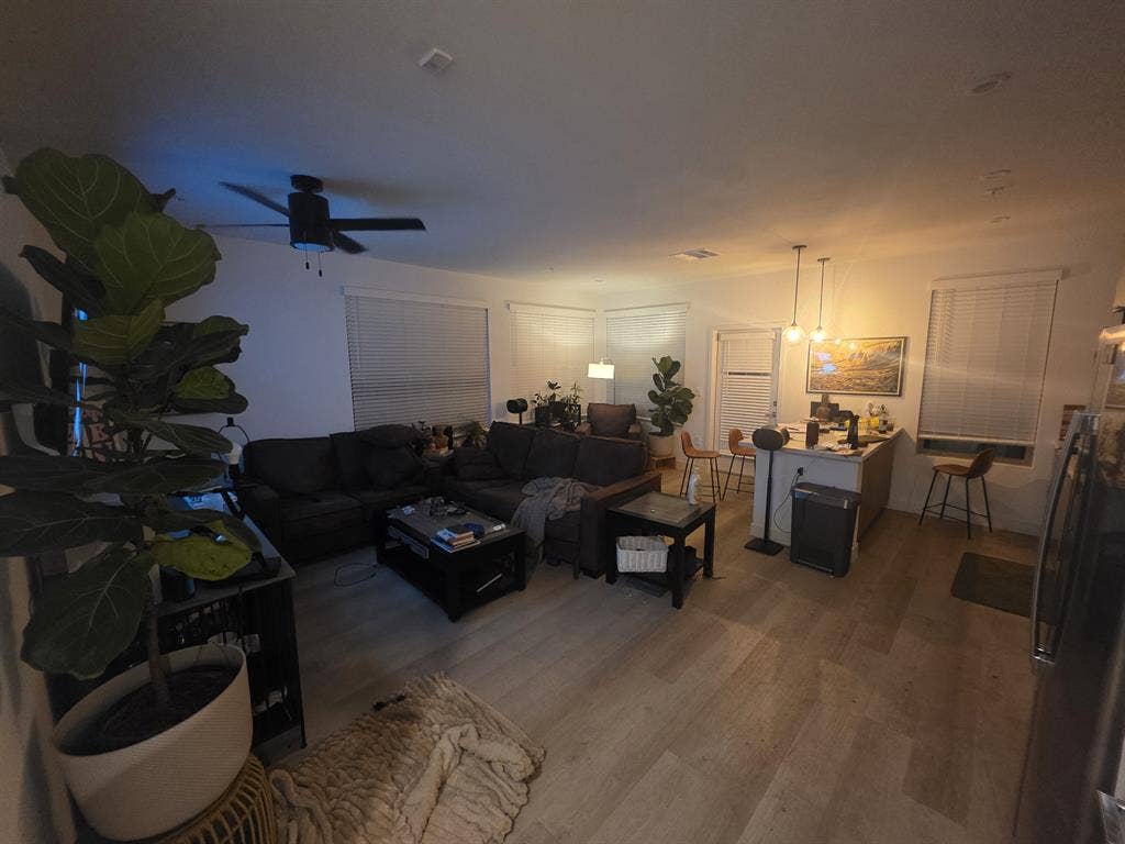 1 room available in 3 bedroom space