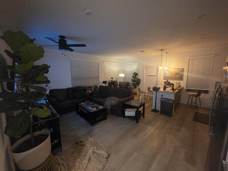 1 room available in 3 bedroom space