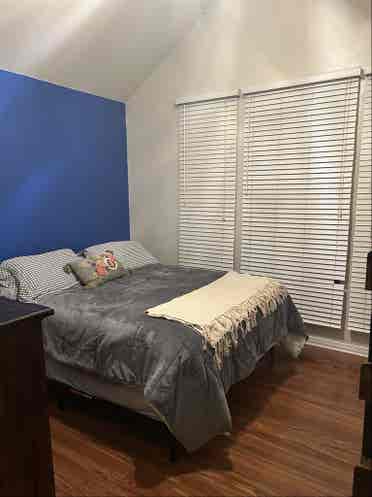 Looking for a roommate