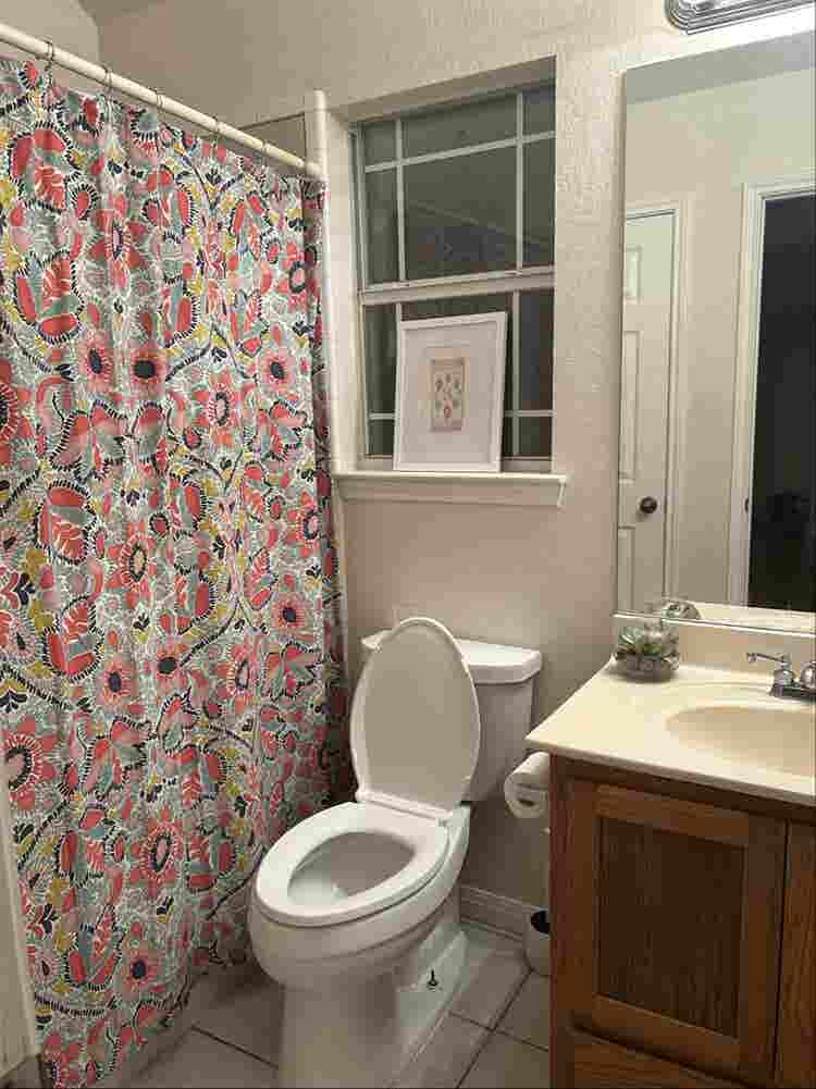 Looking for a roommate