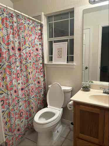 Looking for a roommate