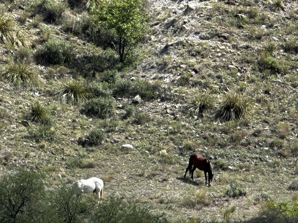 Near Sedona +Cottonwood (Cornville)