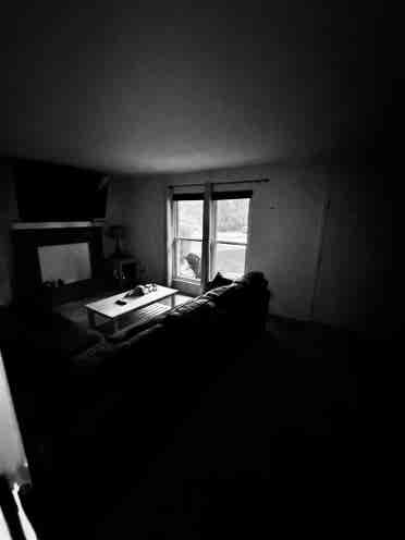 Room for rent in Franklin TN