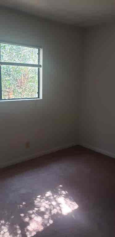 Looking for a roommate in PB