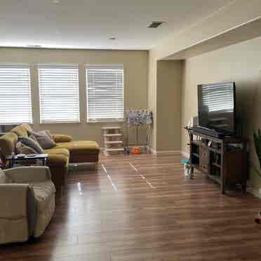 Need two 
Roommates
