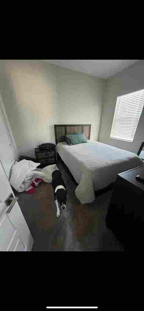 Looking for roomie