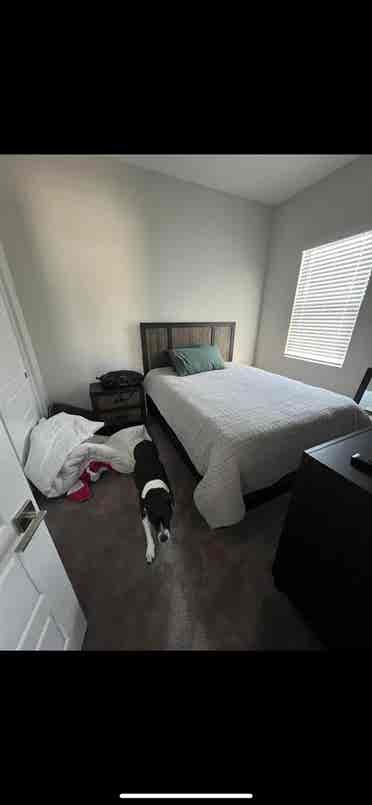 Looking for roomie