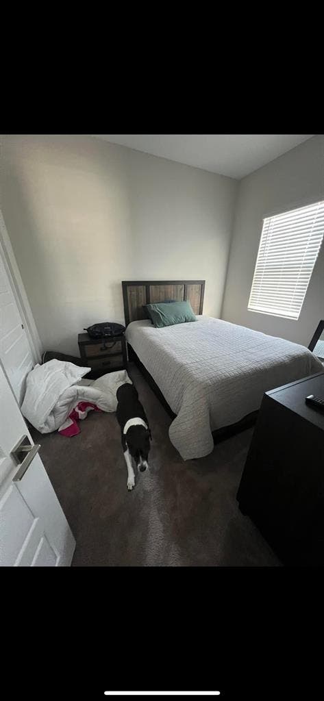 Looking for roomie