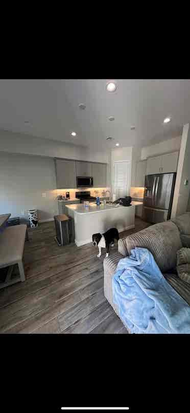 Looking for roomie