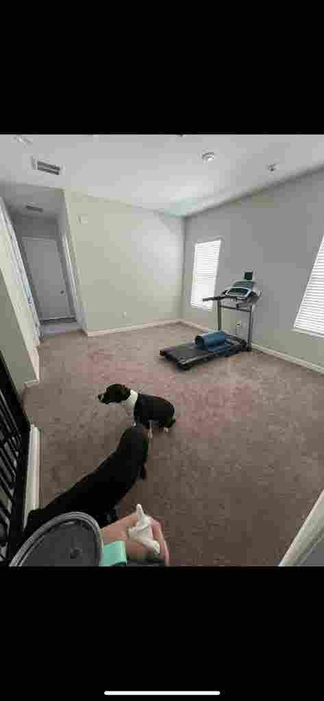 Looking for roomie