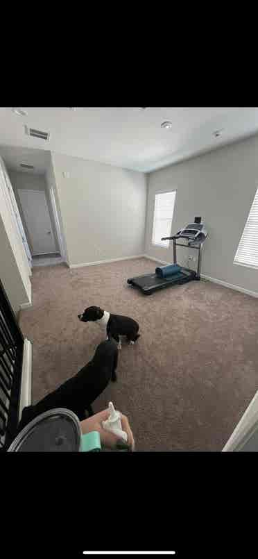 Looking for roomie