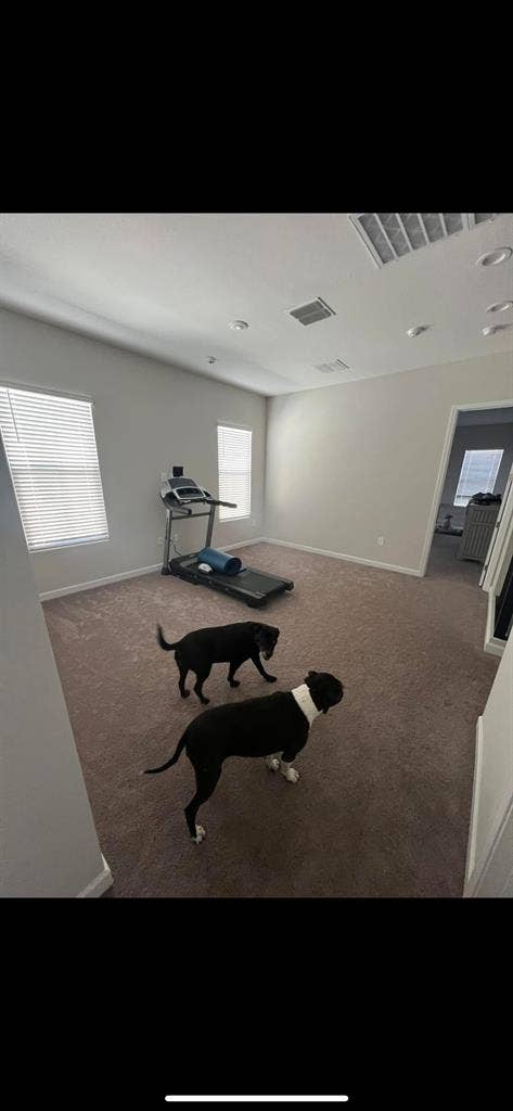 Looking for roomie