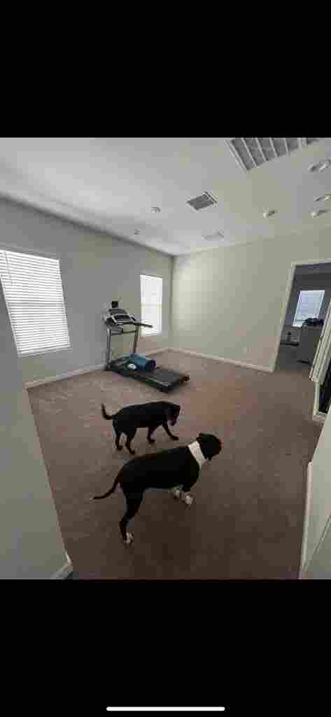 Looking for roomie