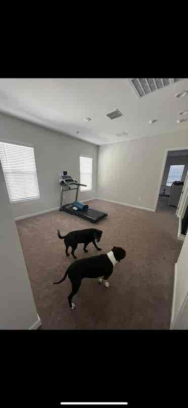 Looking for roomie