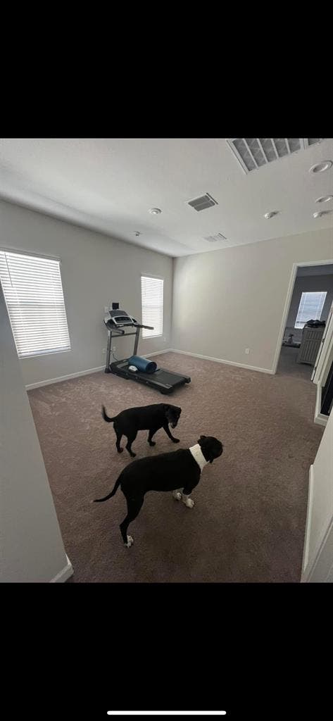 Looking for roomie