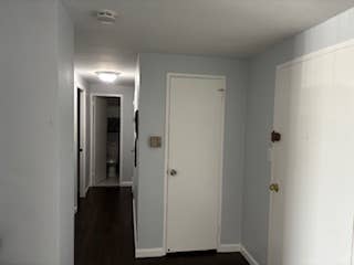 Roommate Wanted