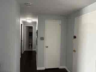 Roommate Wanted