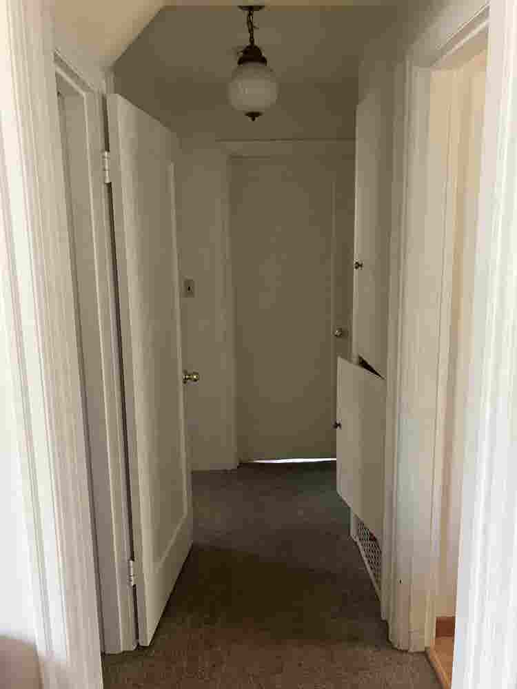 Looking for roommates!