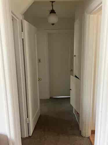 Looking for roommates!