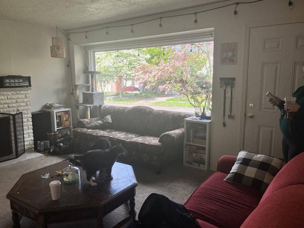 Looking for roommates!