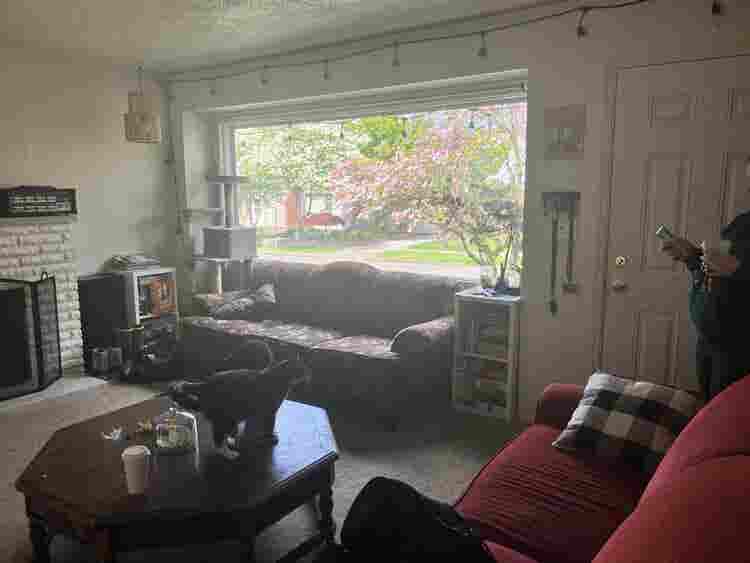 Looking for roommates!