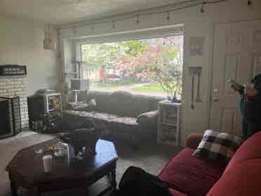 Looking for roommates!
