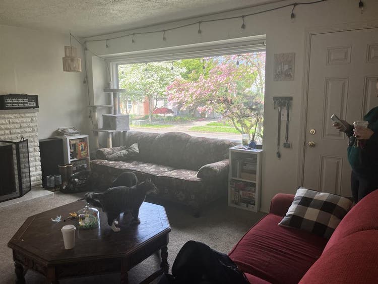 Looking for roommates!