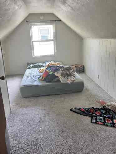 Looking for roommates!