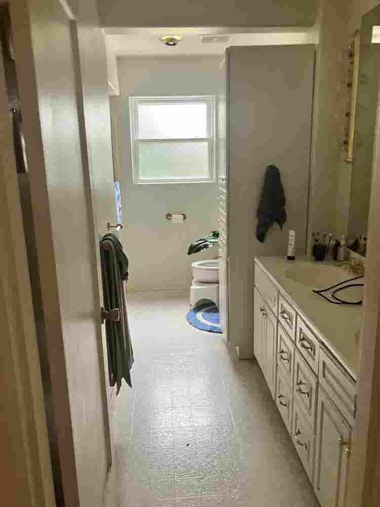 Looking for roommates!