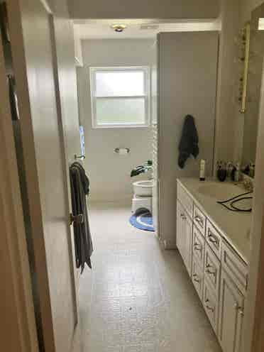 Looking for roommates!