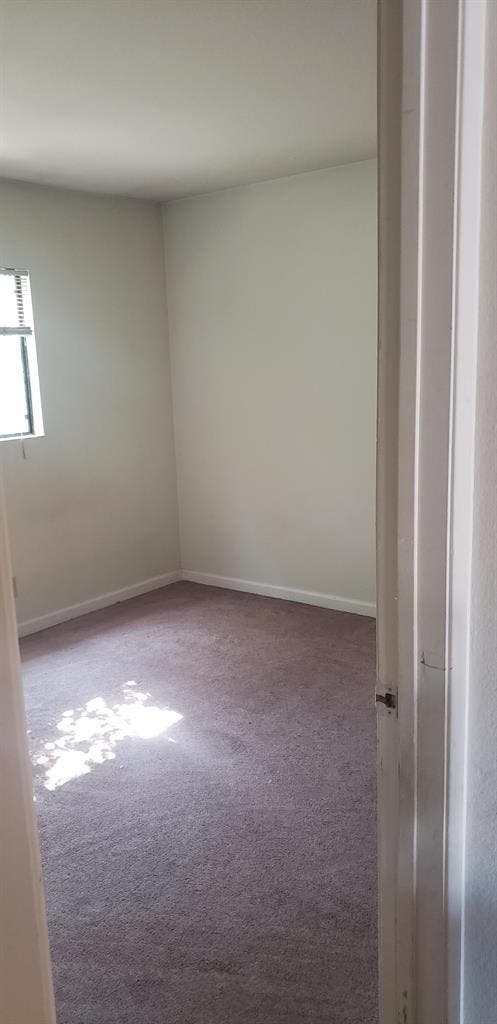 Looking for a roommate in PB