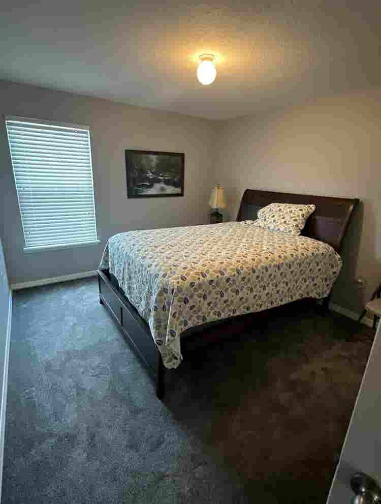 Looking for TWO roommates