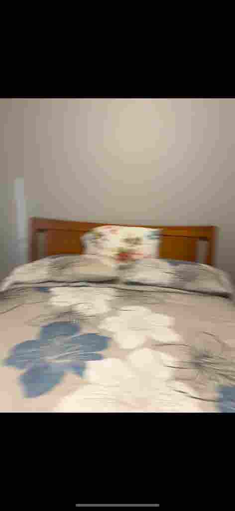 Looking for TWO roommates