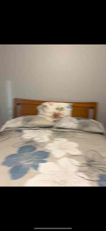 Looking for TWO roommates