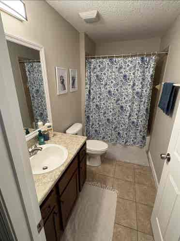 North Jax Room for Rent!