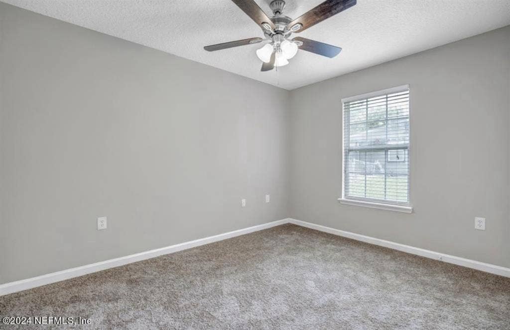 North Jax Room for Rent!