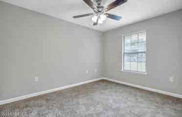 North Jax Room for Rent!