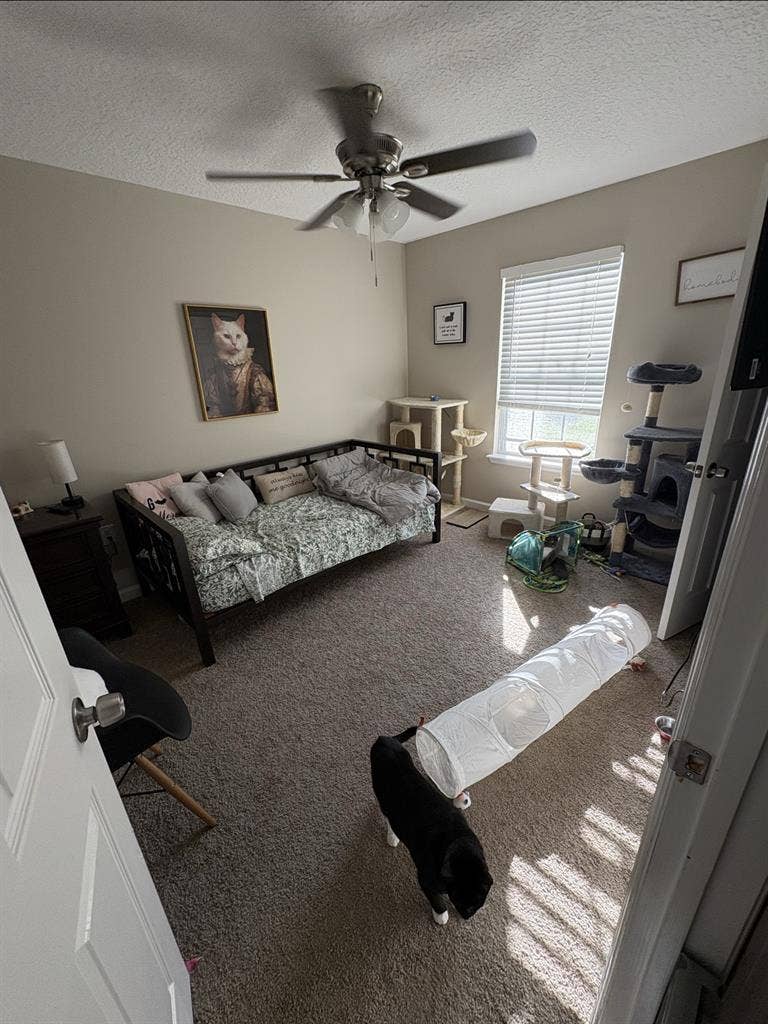 North Jax Room for Rent!
