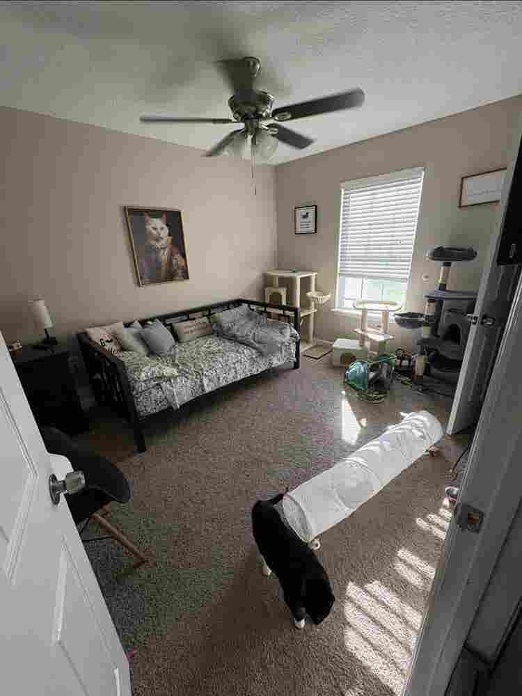 North Jax Room for Rent!