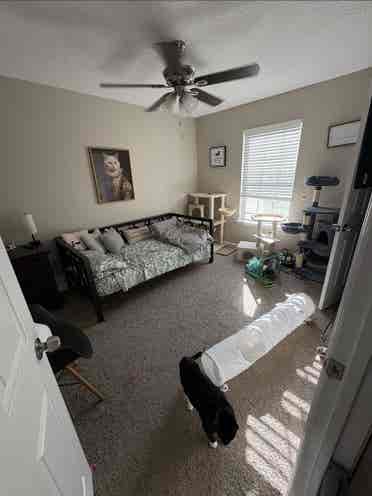 North Jax Room for Rent!