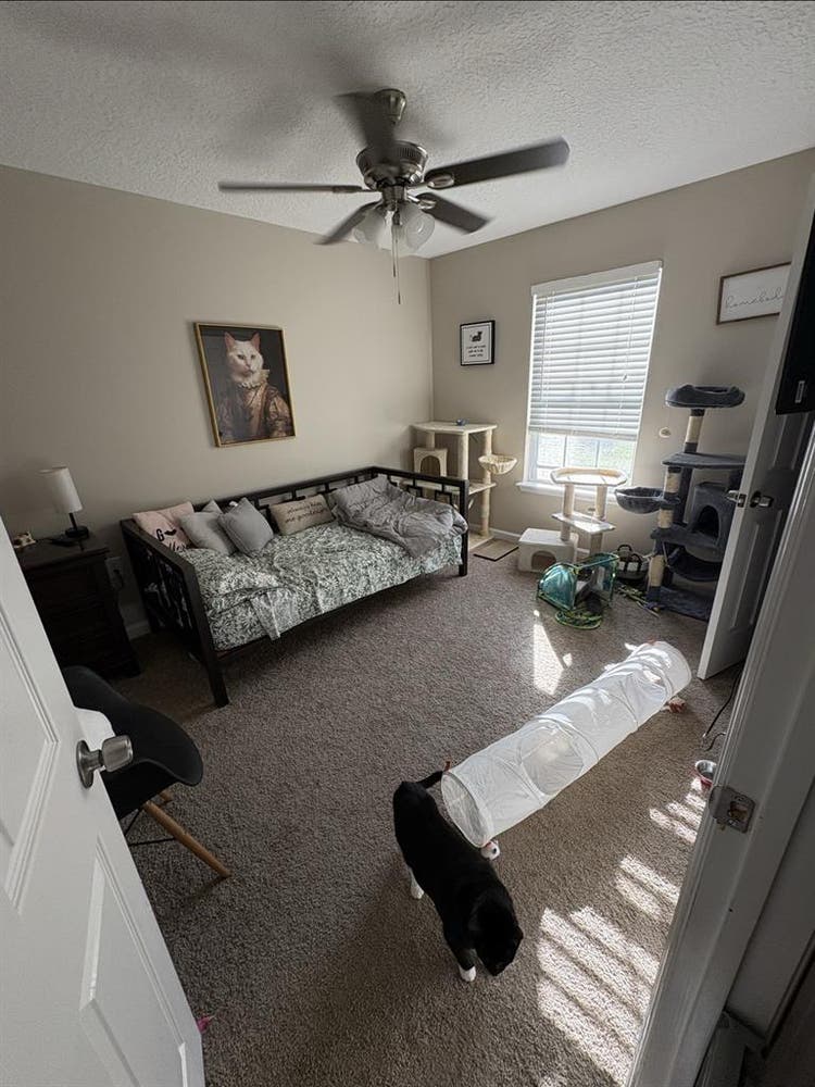 North Jax Room for Rent!