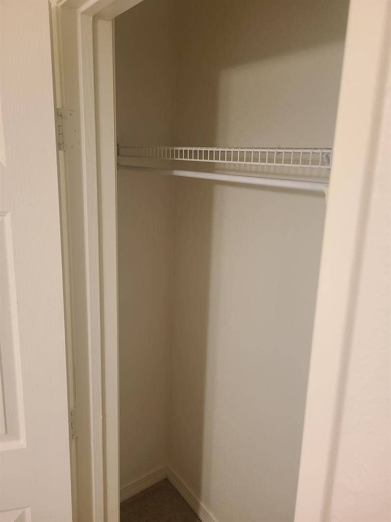 Looking for a roommate