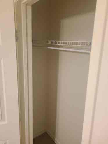 Looking for a roommate