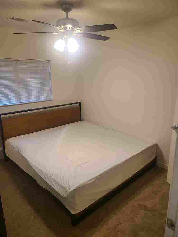 Looking for a roommate
