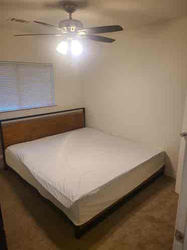 Looking for a roommate