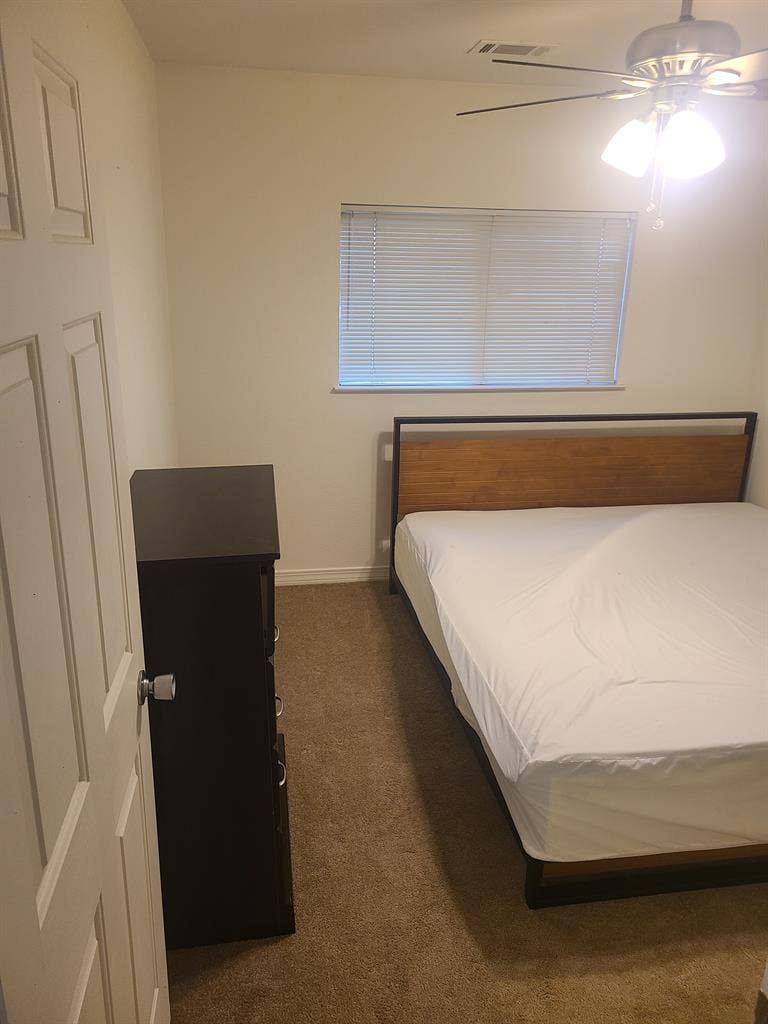 Looking for a roommate