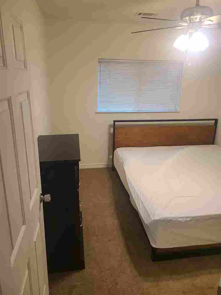 Looking for a roommate